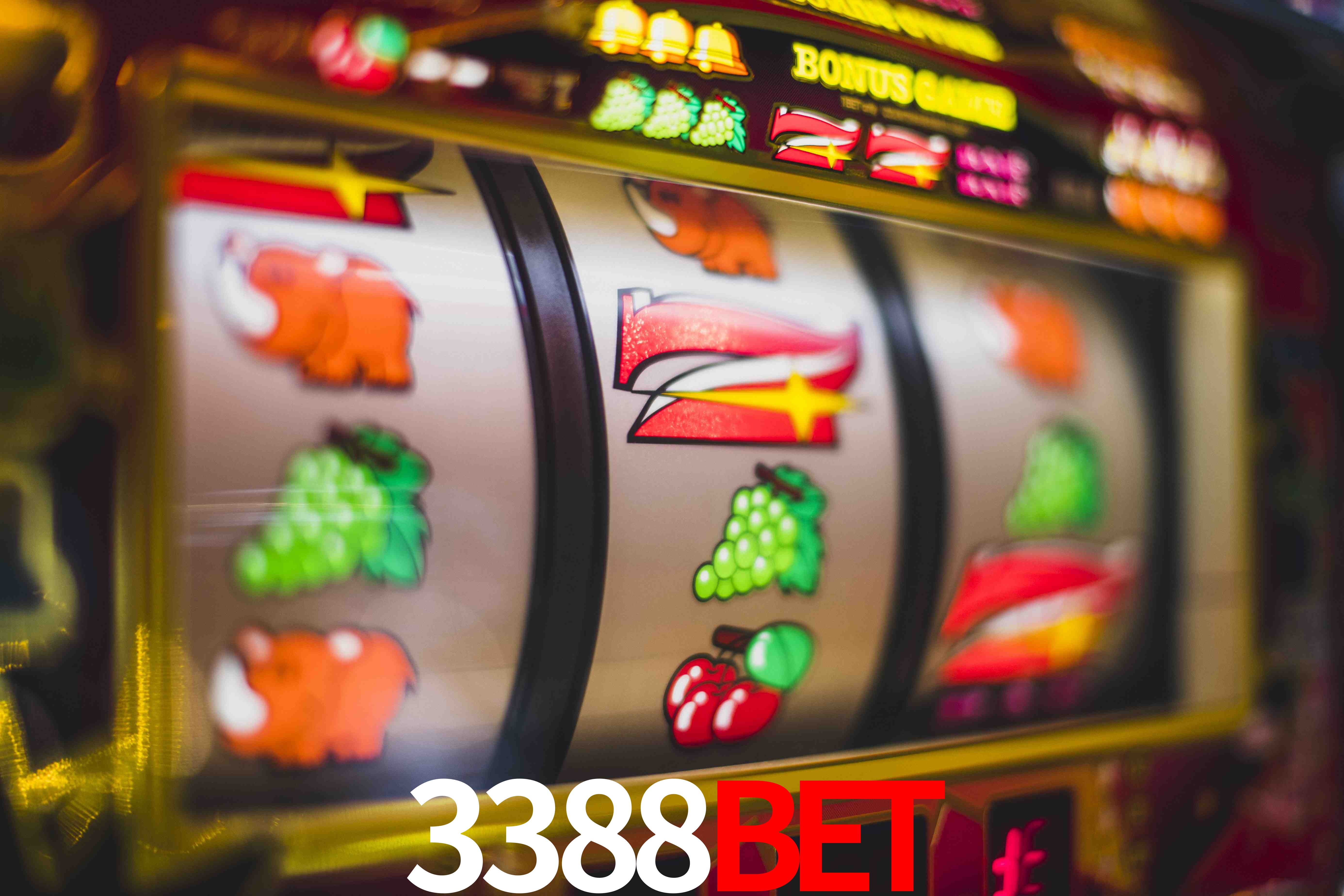 Experiência VIP 3388Bet